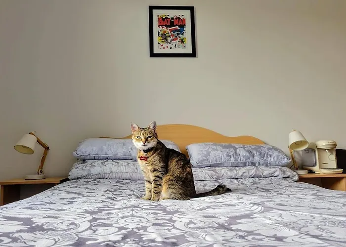 Central Stay With Free Parking Private Room In Shared Flat