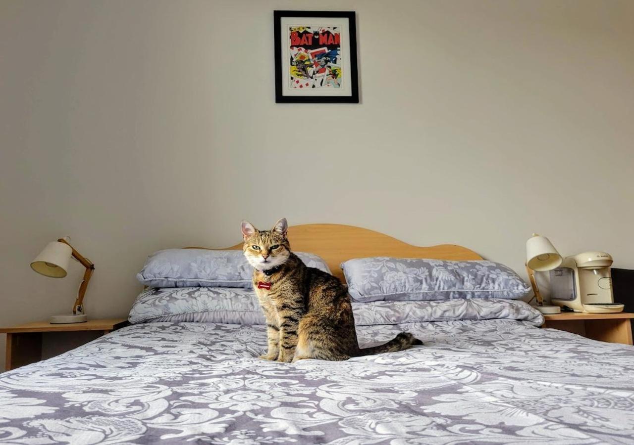 With Free Parking Private In Shared Flat Homestay